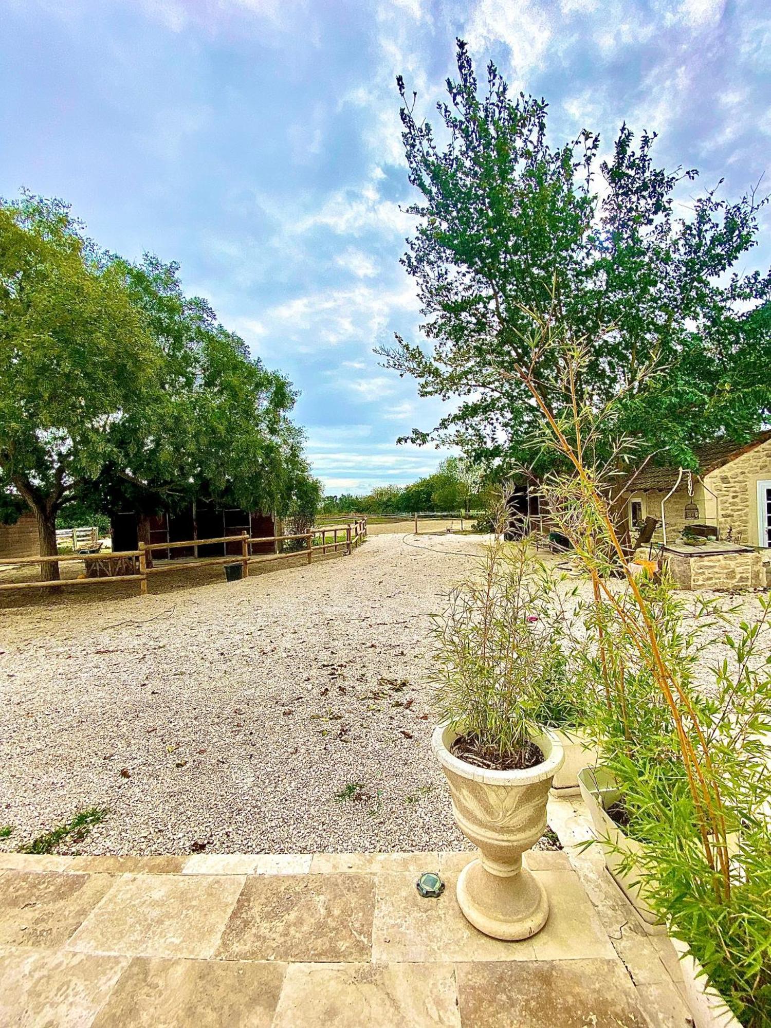 Gite Provencal Du Mas Arnaud Arles Extérieur photo
